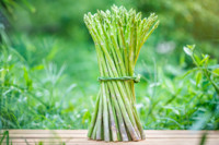 Asparagus, Asperging Herb, Edible Asparagus, Wild Asparagus, Sparrow Grass, Garden Asparagus